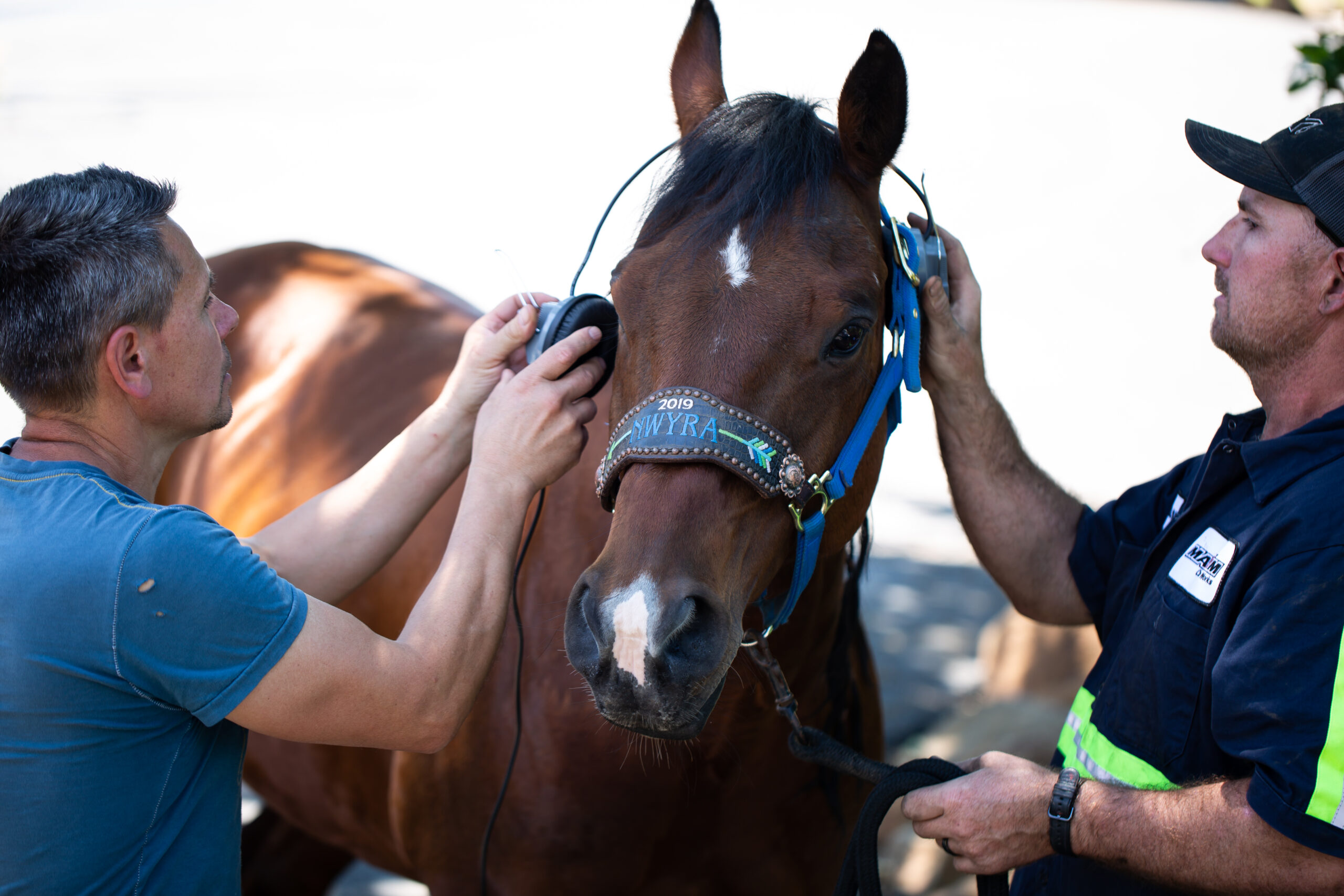 Oberon (129 of 177)